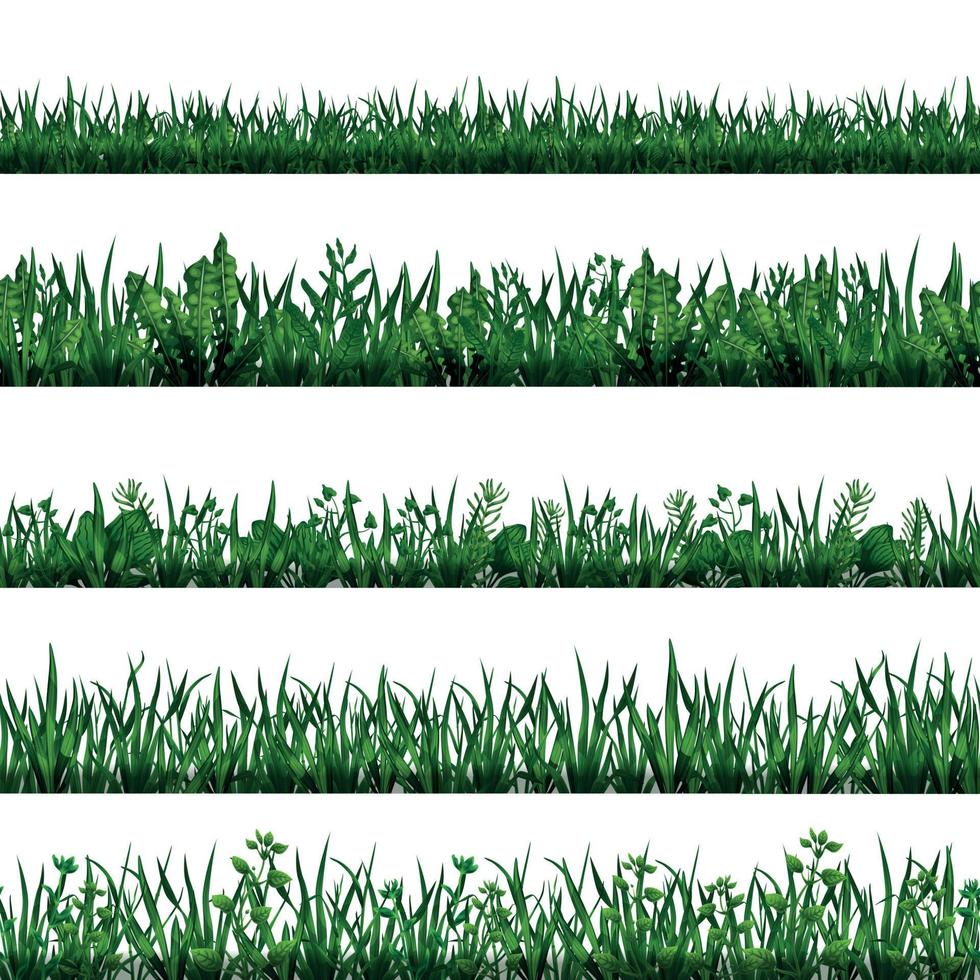conjunto de borde de hierba verde vector