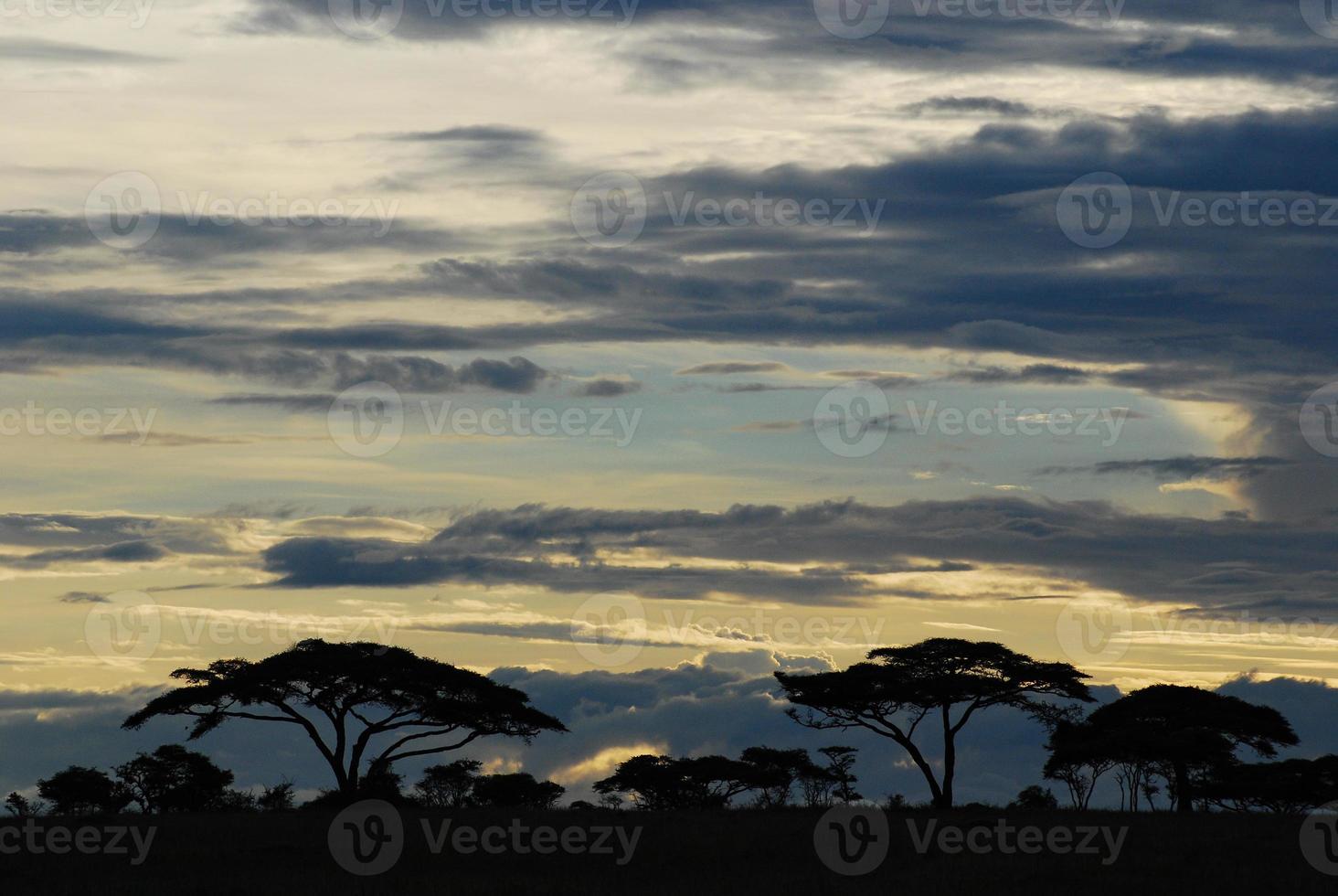 puesta de sol sobre las llanuras de africa foto