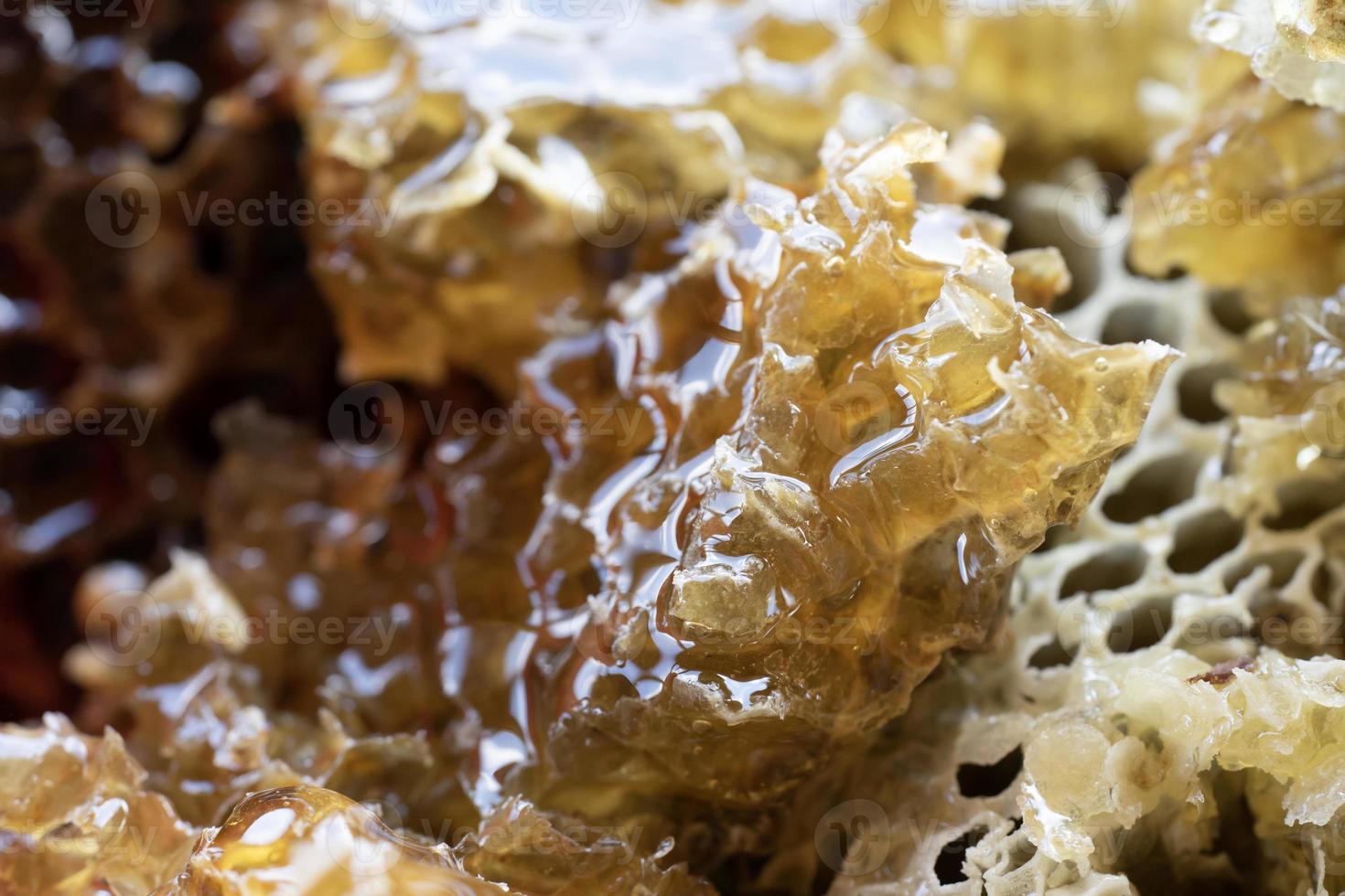 Honey Comb being harvested photo