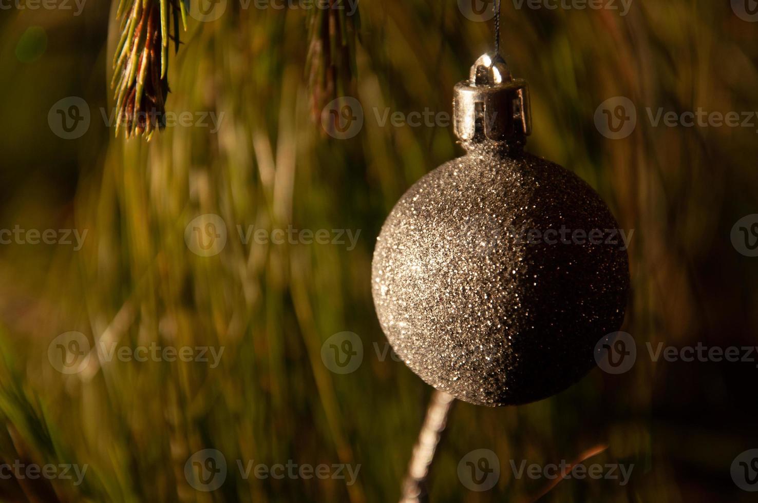 preparándose para la navidad foto