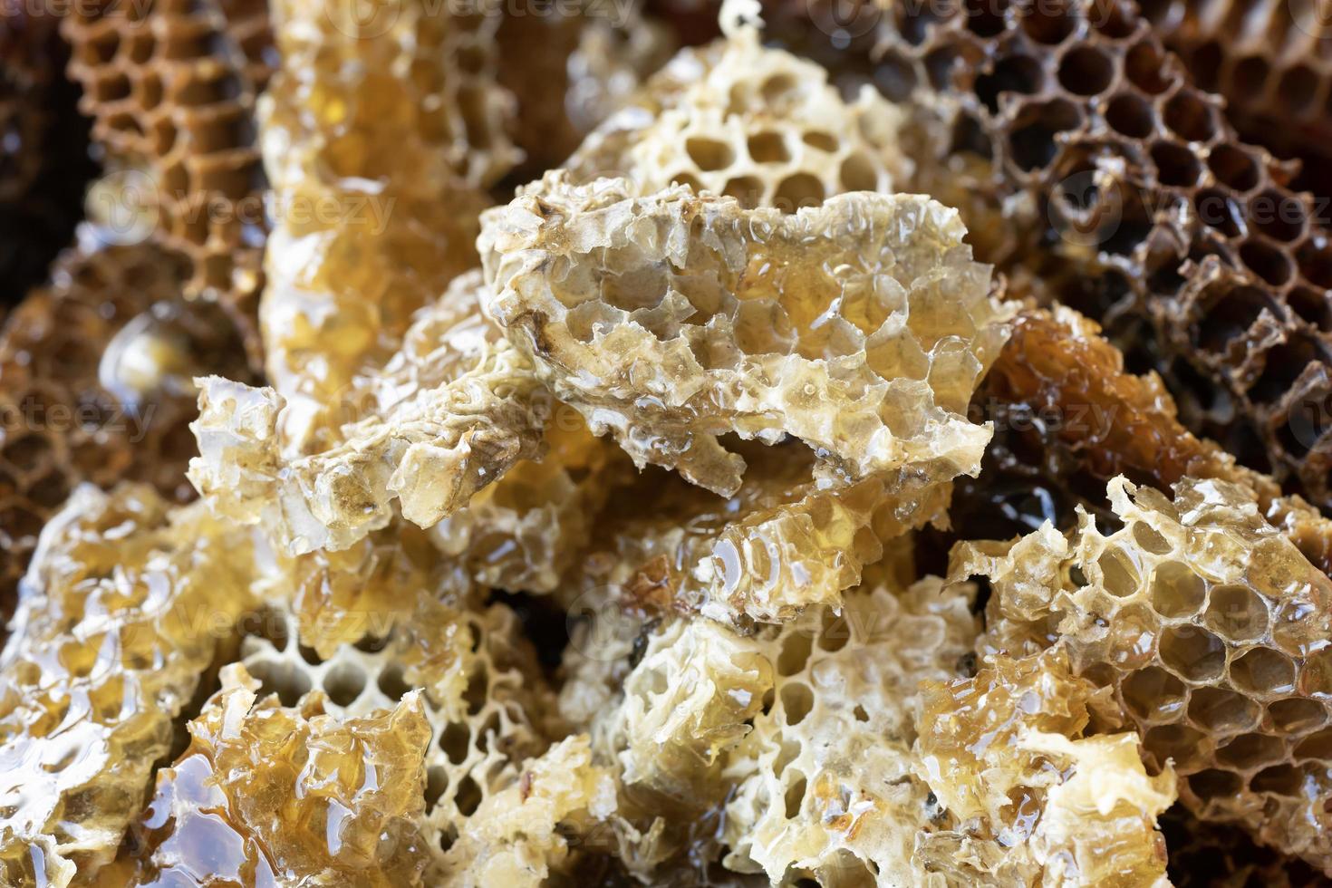 homeny comb being harvested photo