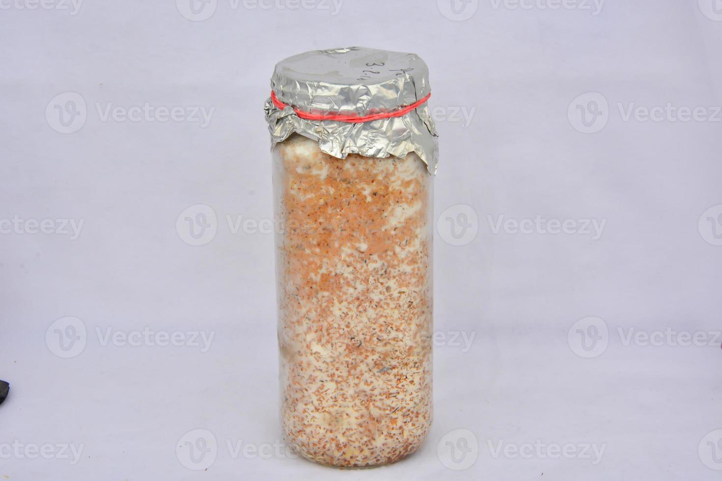 Mushroom spores in a jar photo
