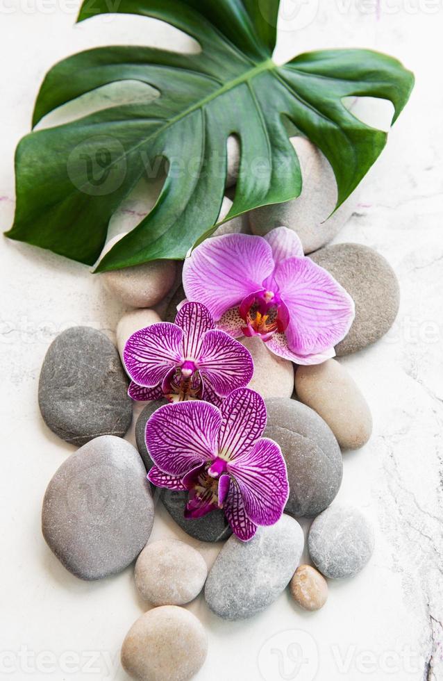 piedras de spa con orquídeas foto