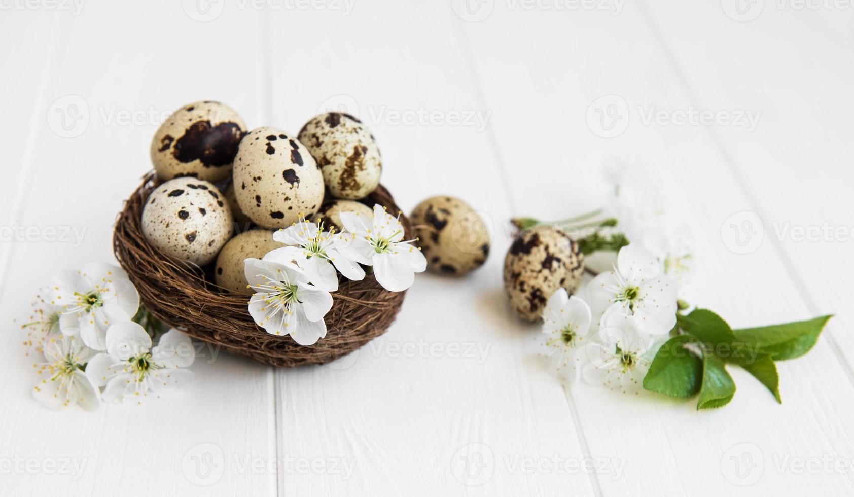 Nest with quail eggs photo