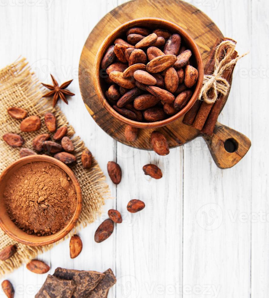 Cocoa beans, powder and chocolate photo