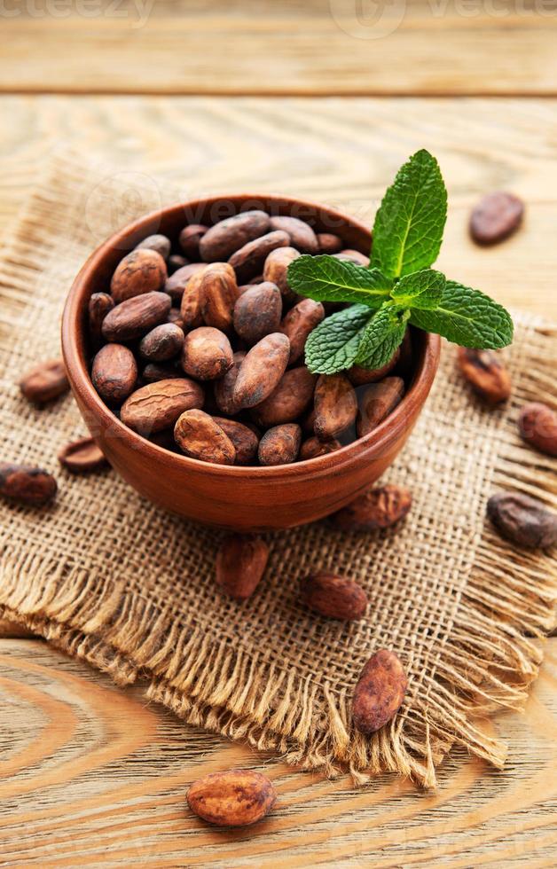 Bowl with Cocoa beans photo