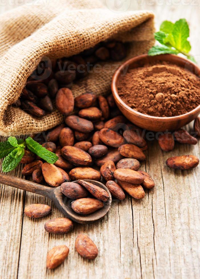 Raw cacao beans and cocoa powder photo