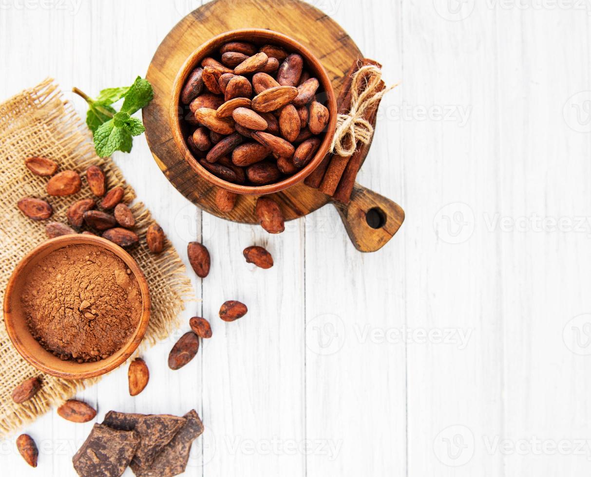 Cocoa beans, powder and chocolate photo