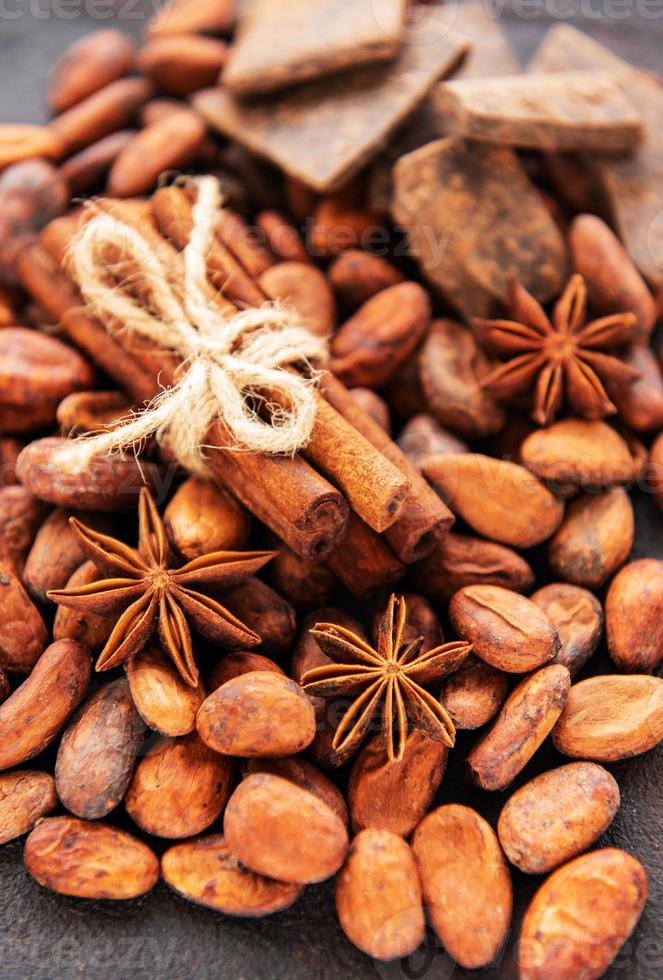 Cocoa beans and spices photo