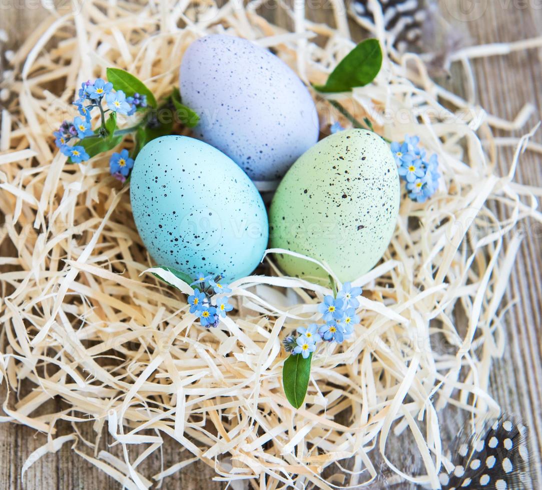 Nest with easter eggs photo