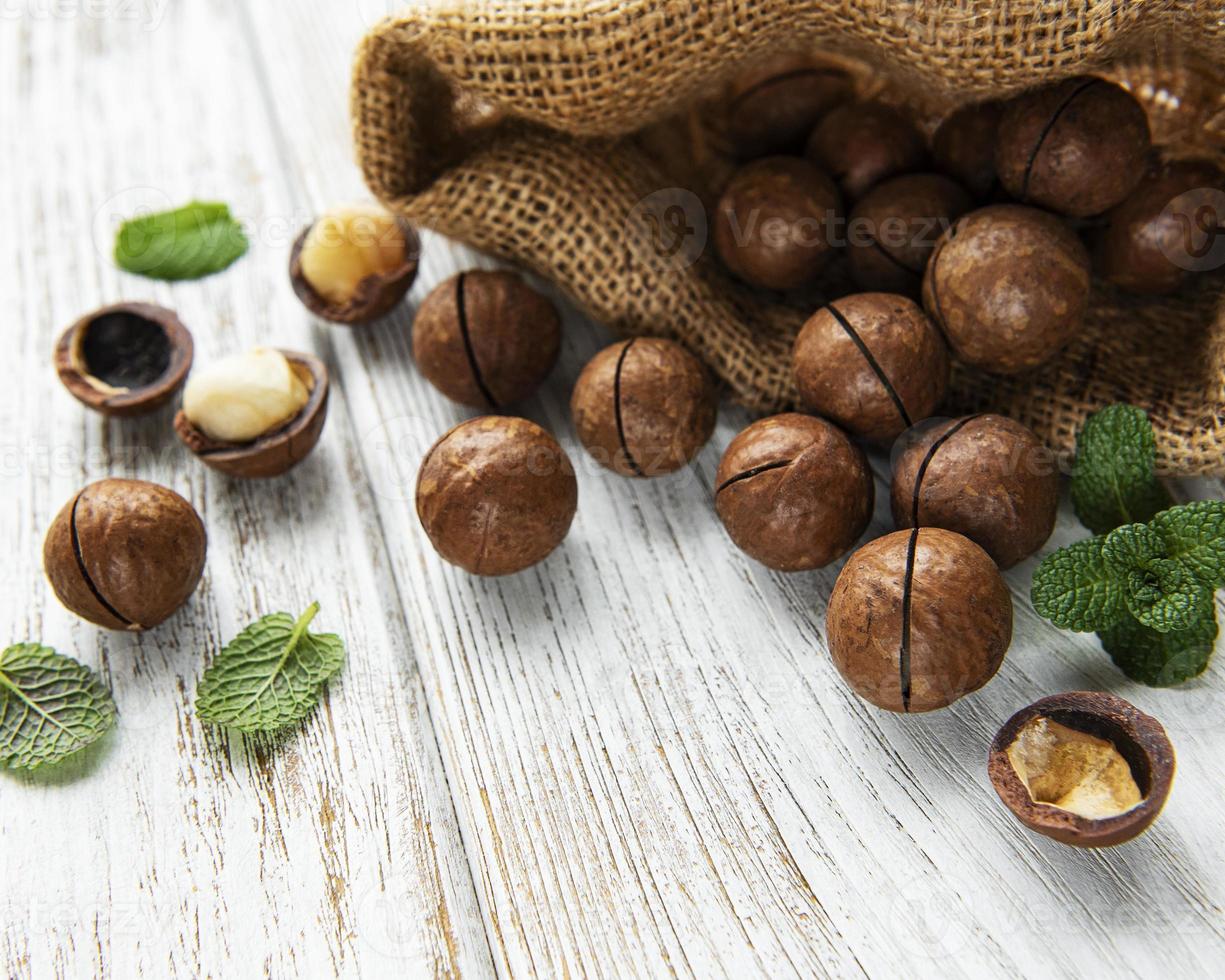 Organic Macadamia nuts photo