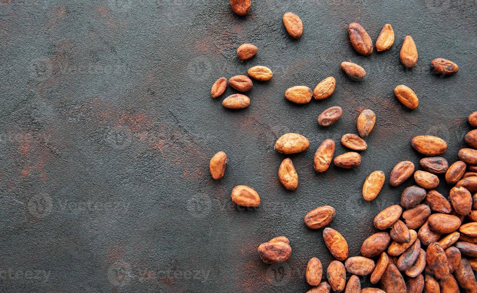 Raw cacao beans photo