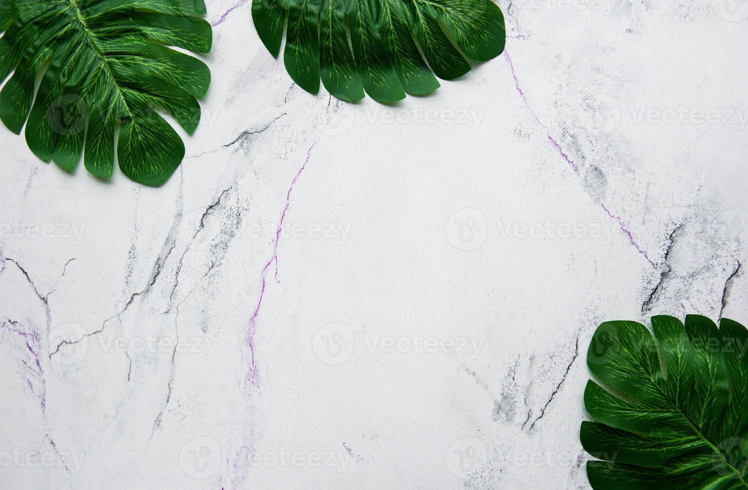 hojas de monstera sobre un fondo de mármol foto