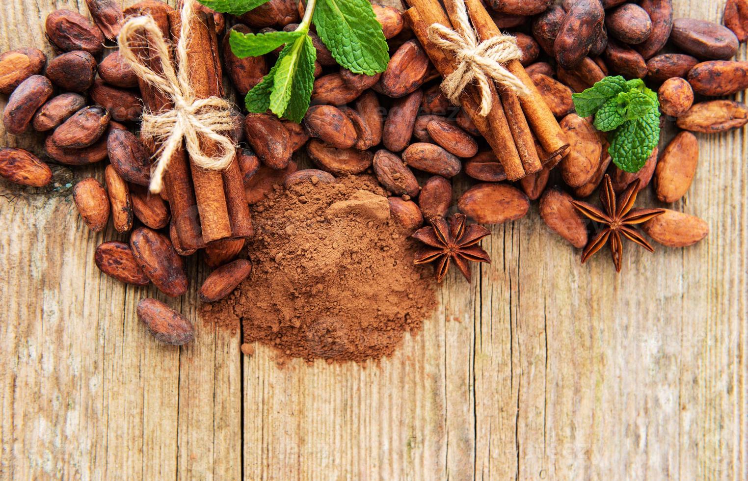 Cocoa powder and beans photo