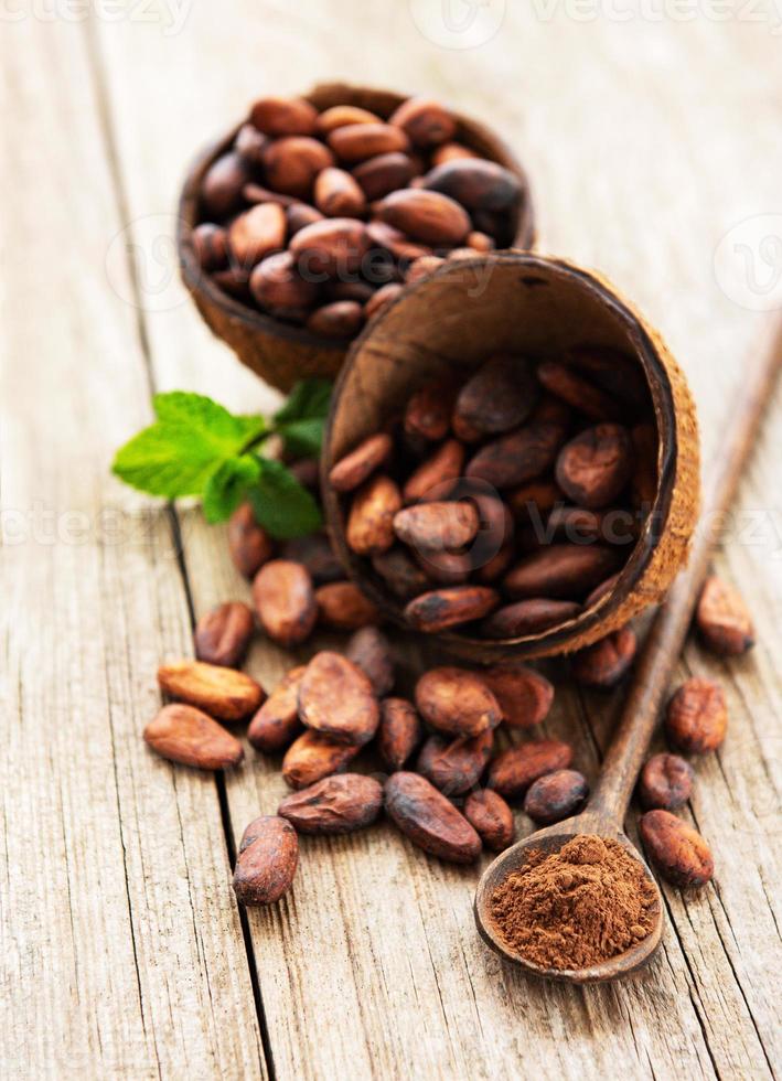 Raw cacao beans photo