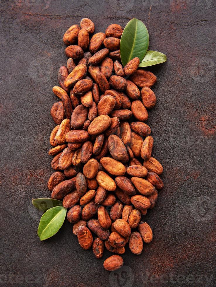 granos de cacao crudos foto