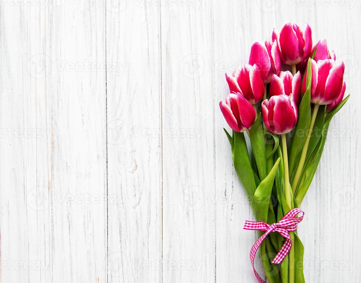 Pink spring tulips photo