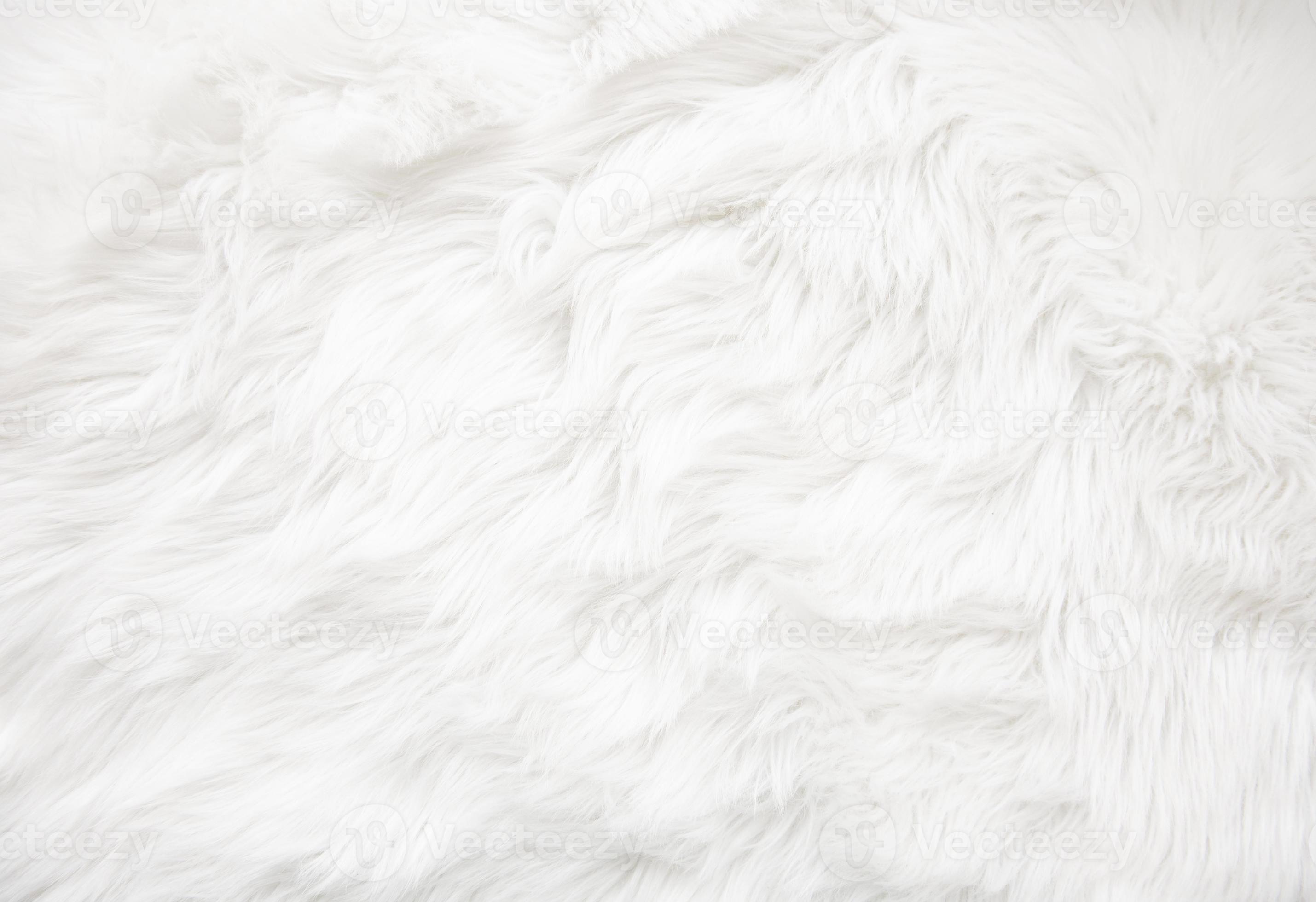 White fur texture 4470256 Stock Photo at Vecteezy