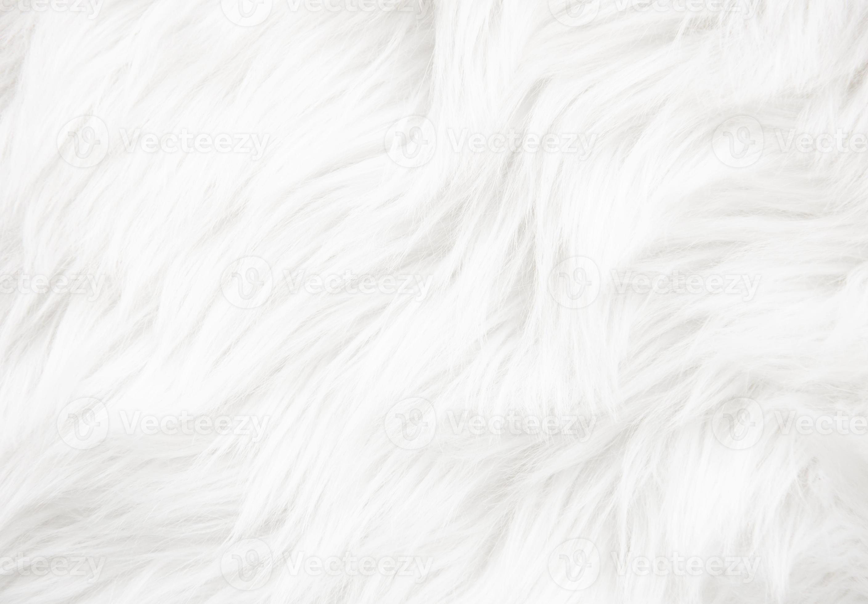 white-fur-texture-4470257-stock-photo-at-vecteezy