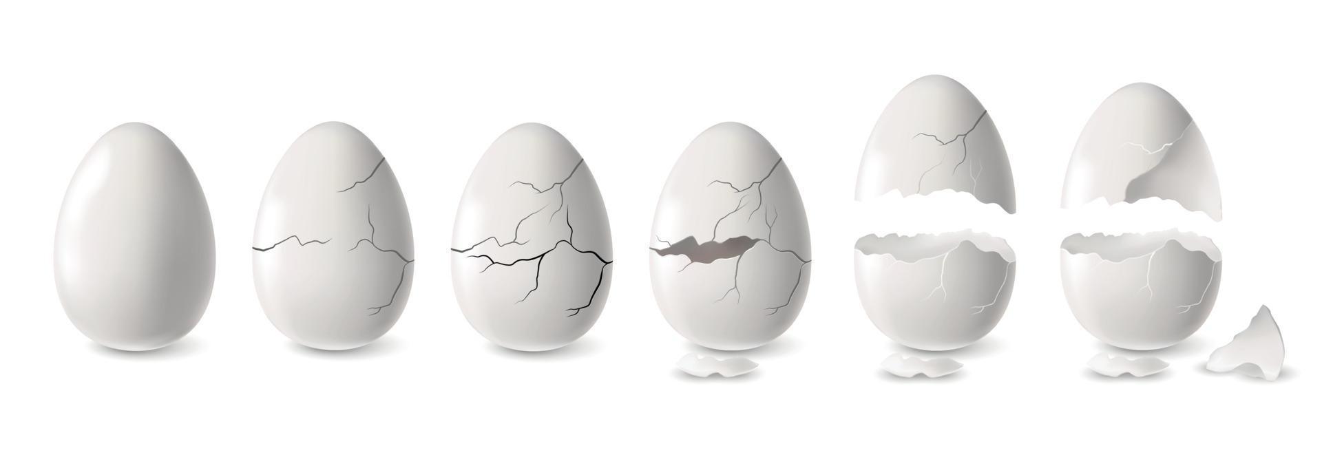 White Egg Set 4470710 Vector Art at Vecteezy
