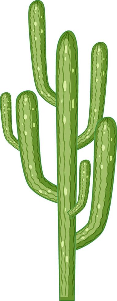 Cactus saguaro aislado sobre fondo blanco. vector