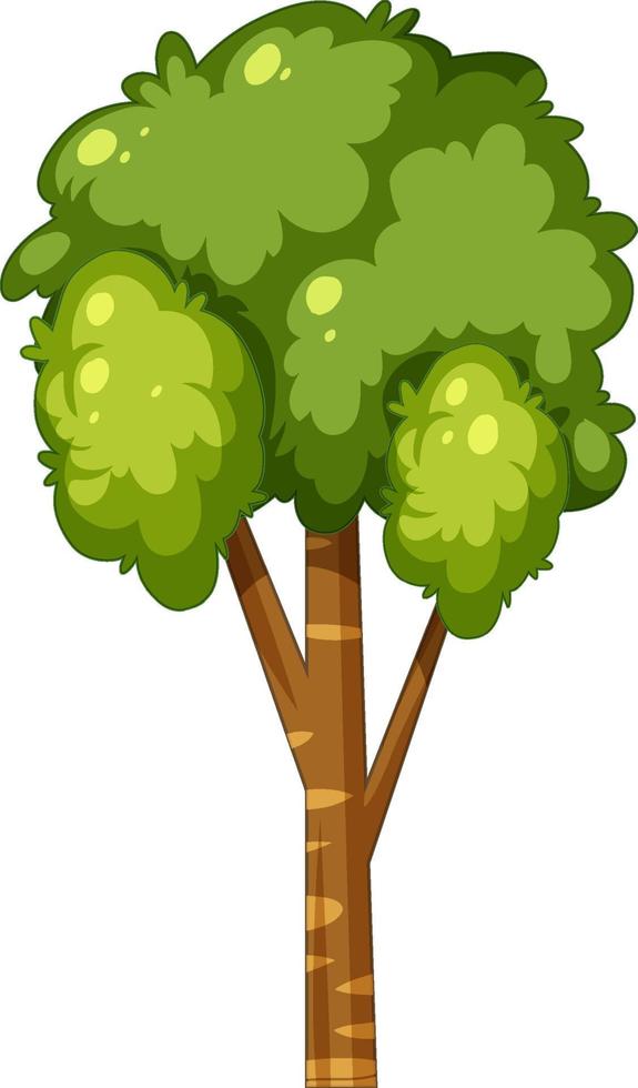 Isolated tree on white background vector
