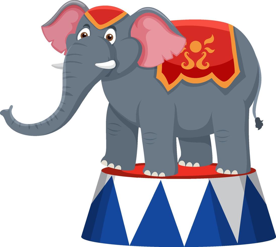 Elephant performance standing on stage vector