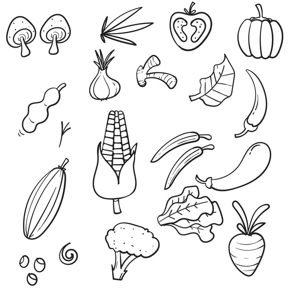 verduras dibujadas a mano doodle colección de dibujo. vegetales como zanahoria, maíz, jengibre, champiñones, pepino, repollo, patata, etc. vector icono