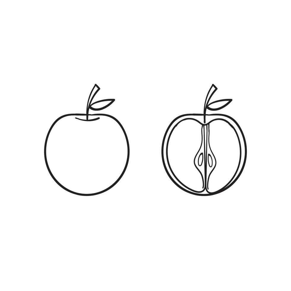 hand drawn doodle apple fruit illustration line art style vector