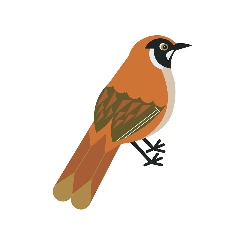 dibujos animados de aves exóticas en estilo gráfico de papel artesanal de moda. diseño moderno para publicidad, branding, tarjetas de felicitación, portadas, carteles, pancartas. ilustración vectorial vector