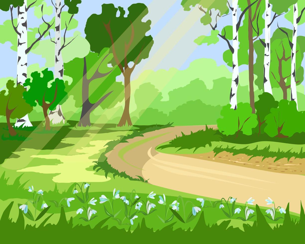 Spring forest landscape with snowdrops and birches vector