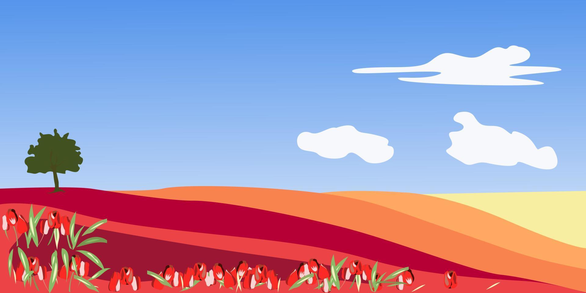 Landscape with a field of tulips of different colors vector