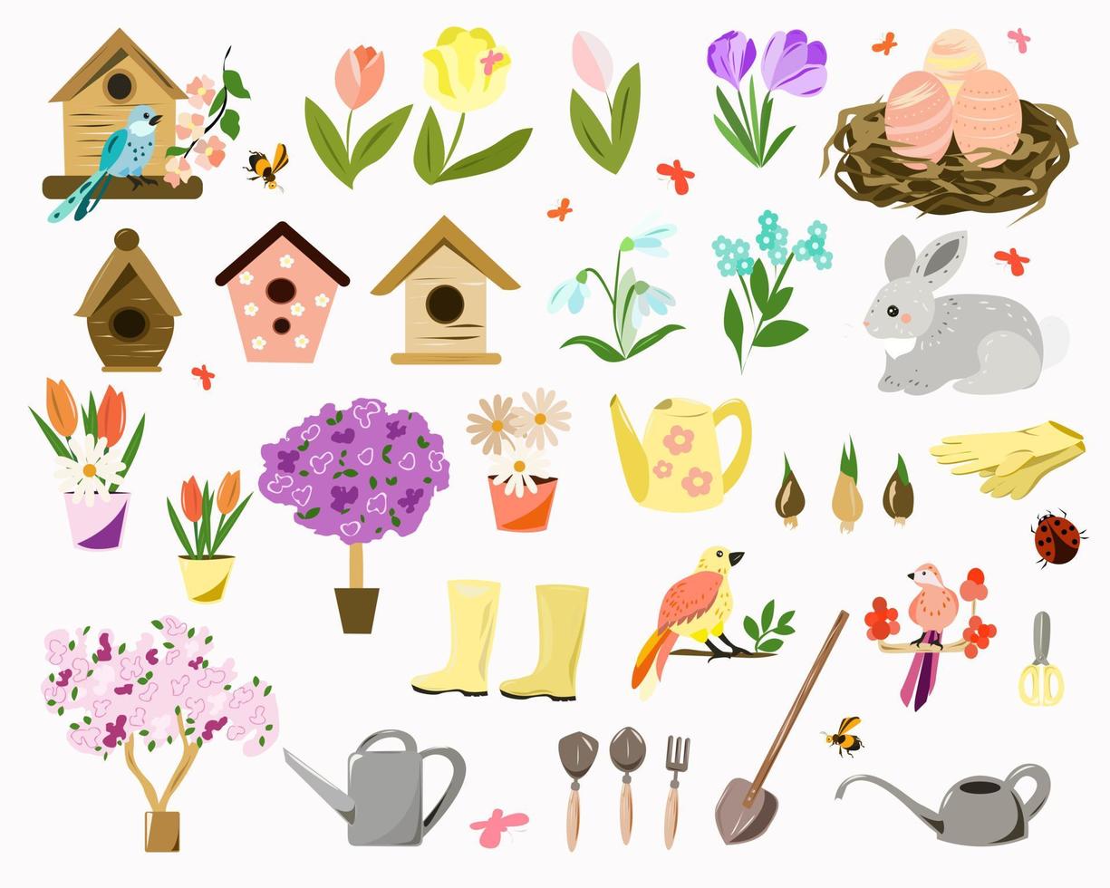 Spring set with with birds and flowers and gardening vector