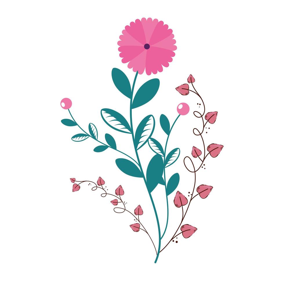 cute flower with branches and leafs isolated icon vector