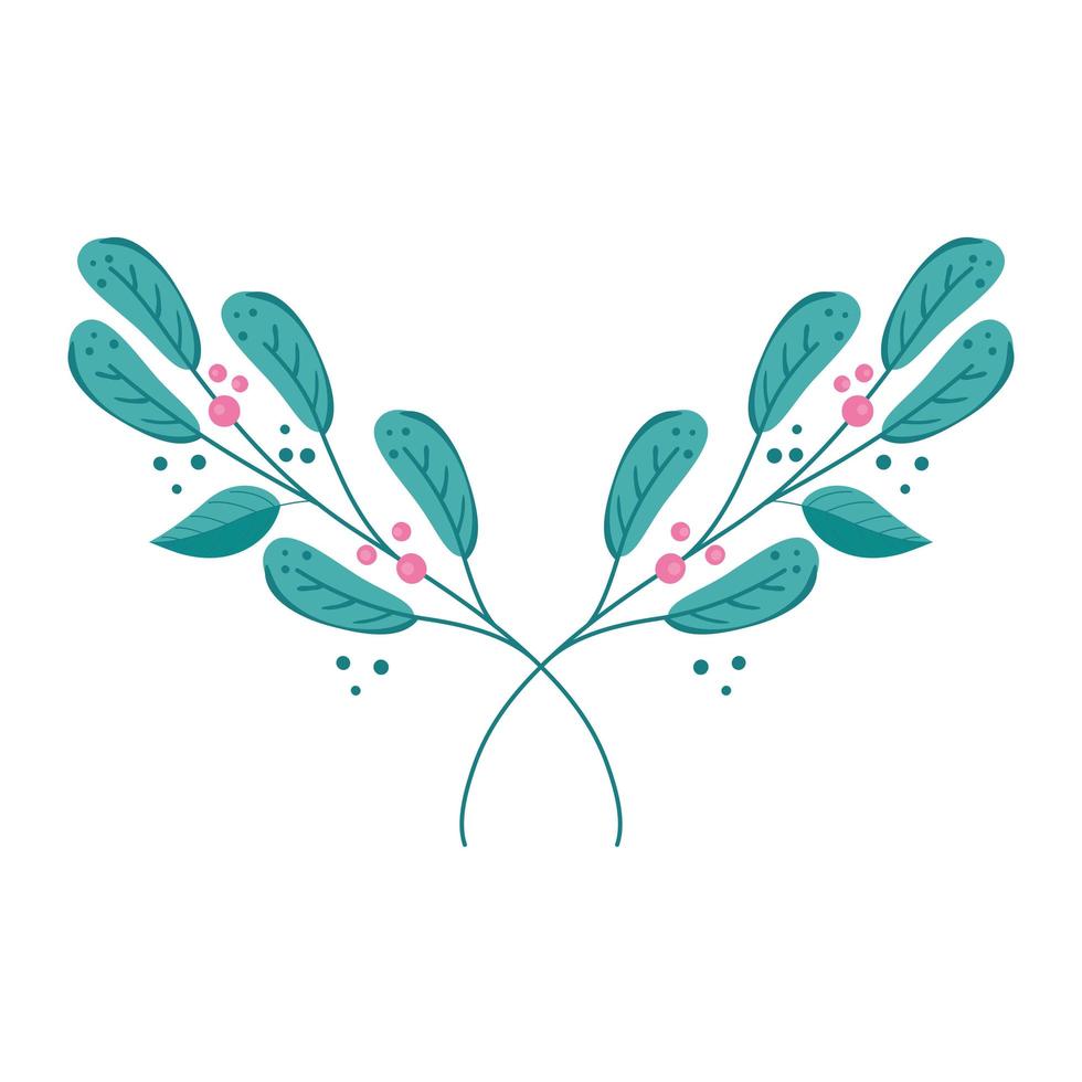 branches with leafs nature and seeds vector