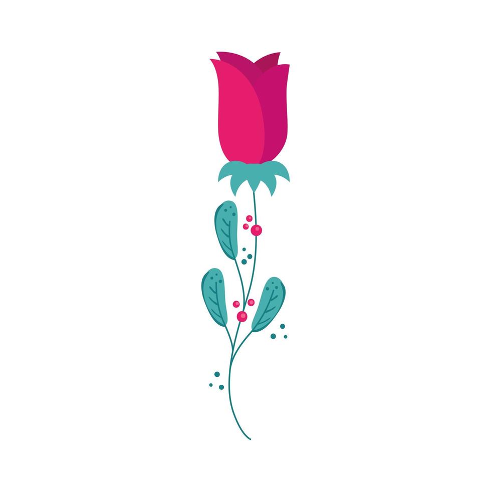 cute rose flower natural with leafs isolated icon vector