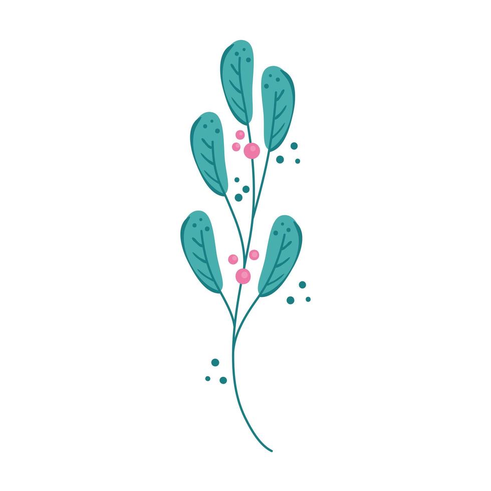 branch with leafs nature and seeds vector