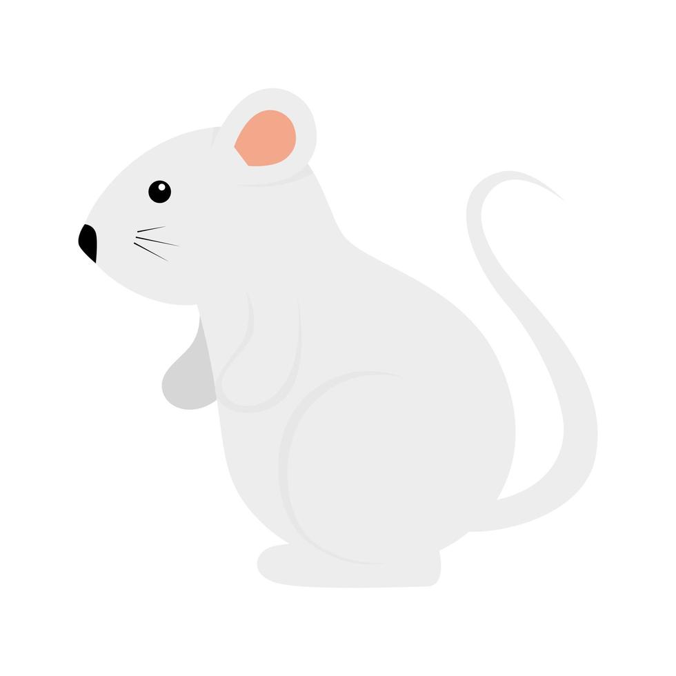 lindo, roedor, rata, aislado, icono vector