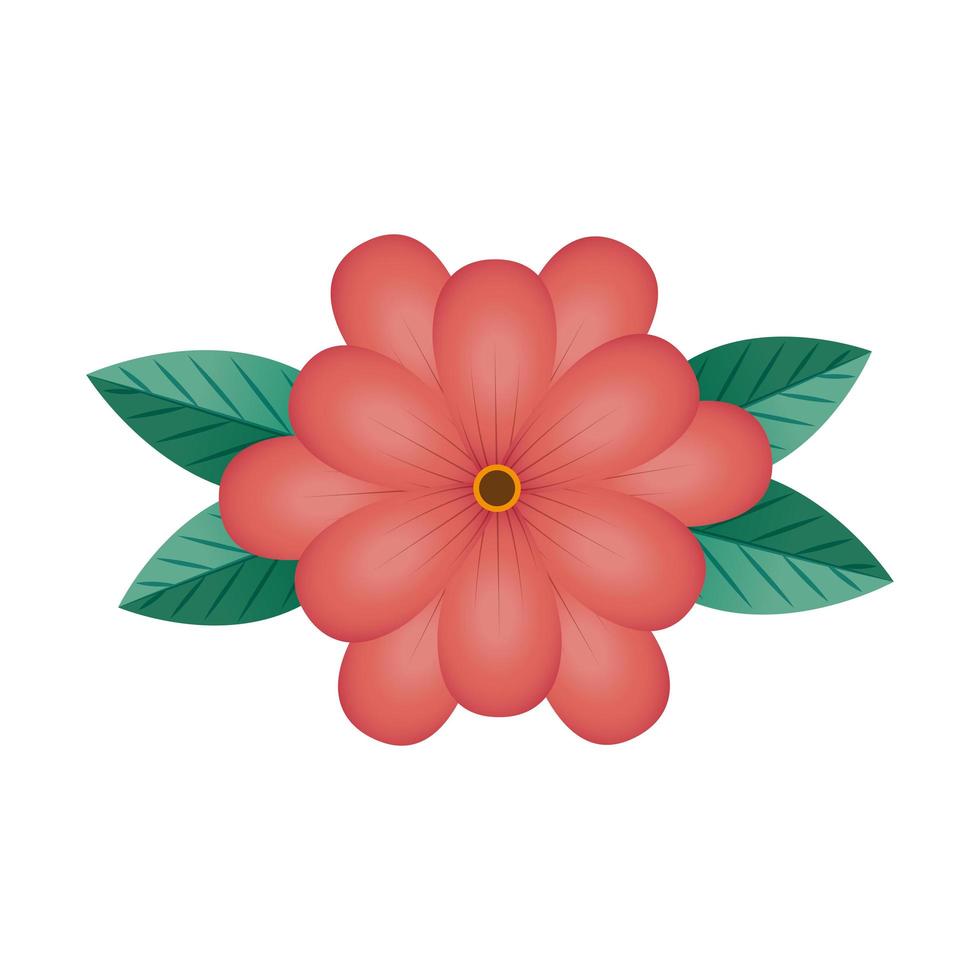 cute flower natural isolated icon vector