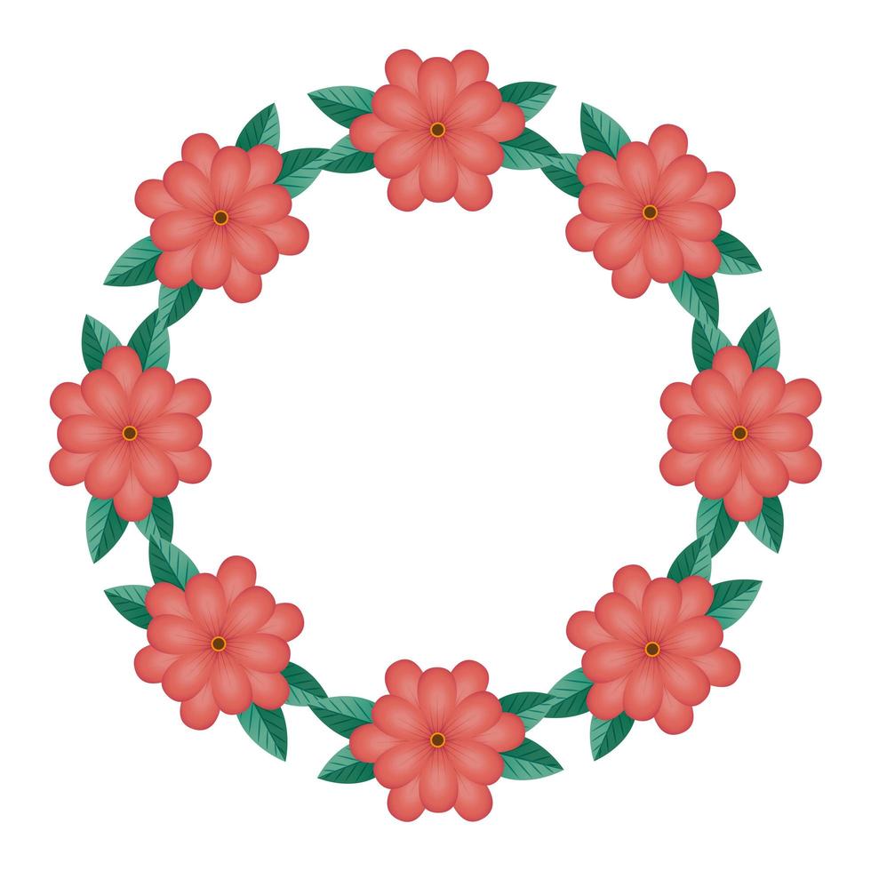 frame circular of flowers natural isolated icon vector