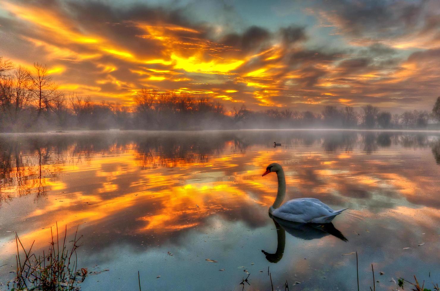 ardiente amanecer en el lago foto