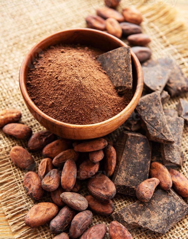 Cocoa powder and beans photo