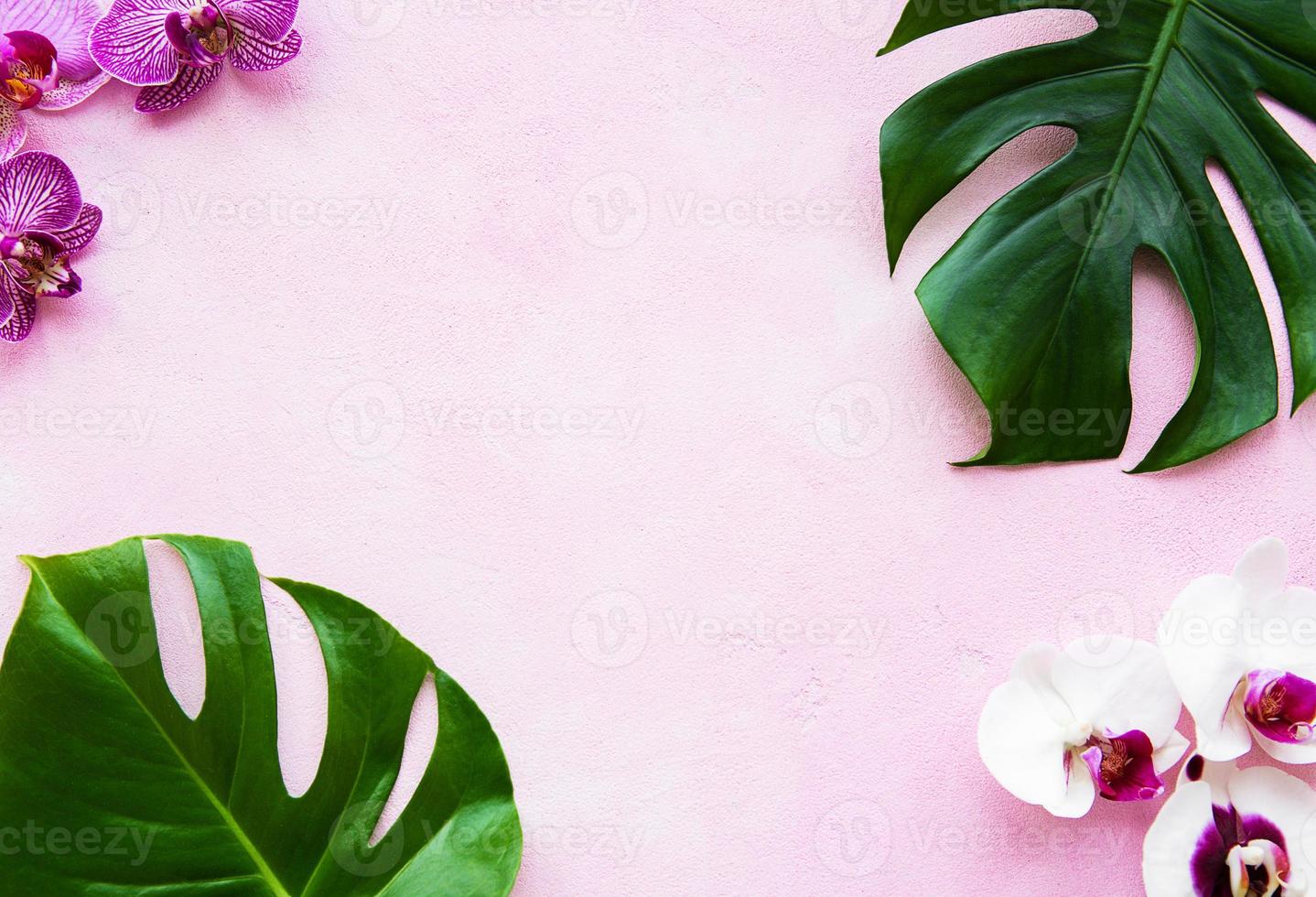 hojas tropicales monstera y flores de orquídeas foto