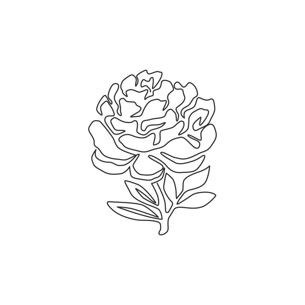 Single continuous line drawing of beauty fresh paeony for garden logo. Printable decorative peony flower concept for home decor wall art poster print. Modern one line draw design vector illustration