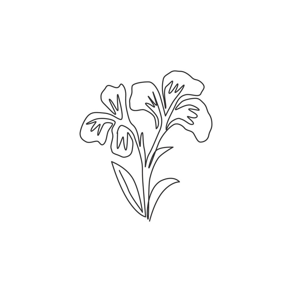 dibujo de línea continua única del logotipo de belleza canna fresca para jardín. Cartel imprimible decorativo concepto de flor de lirio de canna para tarjeta de invitación de boda. Ilustración de vector de diseño de dibujo de una línea moderna