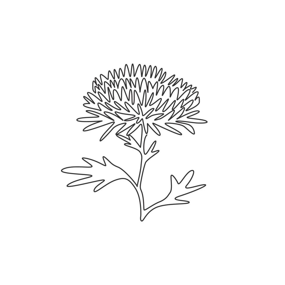 Single continuous line drawing beauty fresh chrysanthemum for garden logo. Printable decorative chrysanth flower concept for home wall decor art poster print. One line draw design vector illustration