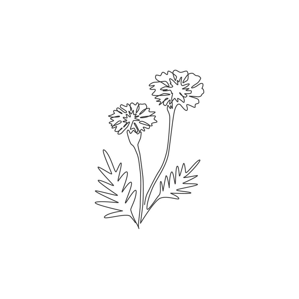 dibujo de una sola línea de belleza fresca tagetes erecta para logotipo de jardín. concepto decorativo de la flor de la caléndula para la impresión del cartel del arte de la pared de la decoración casera. Ilustración de vector de diseño de dibujo de línea continua moderna