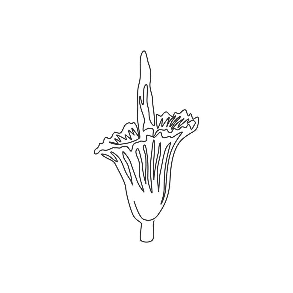 Dibujo de una sola línea Beauty Fresh Amorphophallus Titanum para decoración de pared del hogar Impresión de póster artístico. Flor decorativa titán arum para parque nacional. Ilustración de vector de diseño de dibujo de línea continua de moda