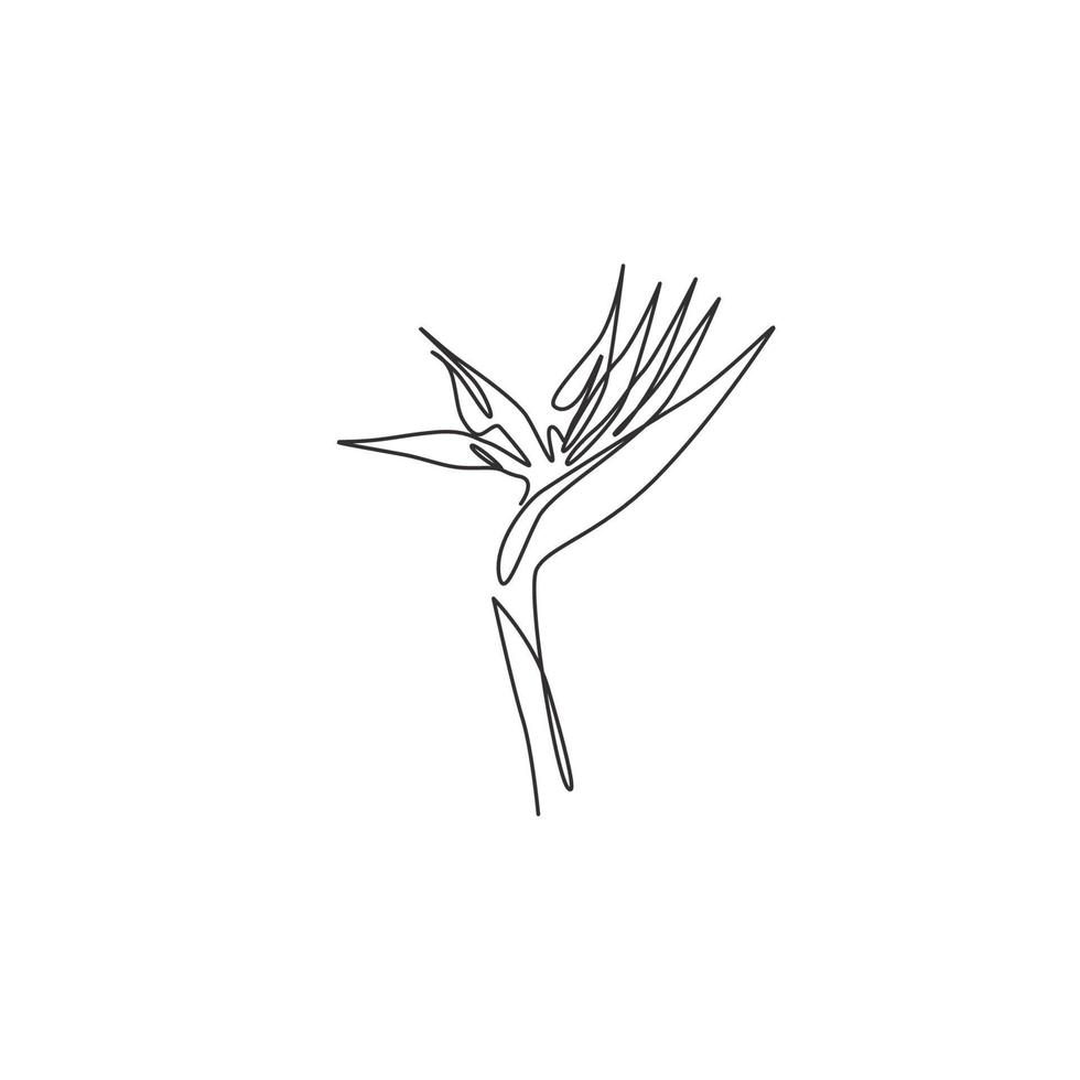 Bird Of Paradise Vector Art, Icons, and Graphics for Free Download bird-of-paradise-vector-art-icons-and-graphics-for-free-download