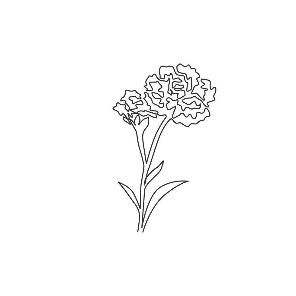 dibujo de línea continua única de clavel fresco de belleza para el logotipo de jardín. Flor decorativa de dianthus caryophyllus para decoración de pared del hogar. Ilustración de vector de diseño de dibujo de una línea moderna